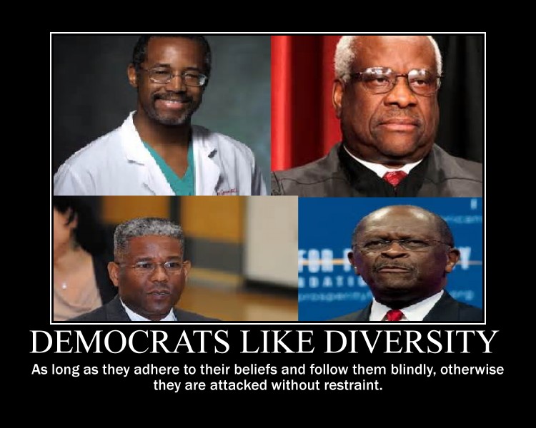 democrats_like_diversity_by_ind_conservative-d60bdn7.jpg