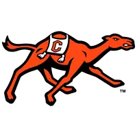 gocamels.com