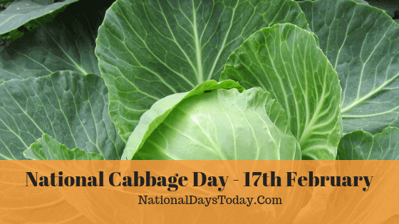 National-Cabbage-Day.png