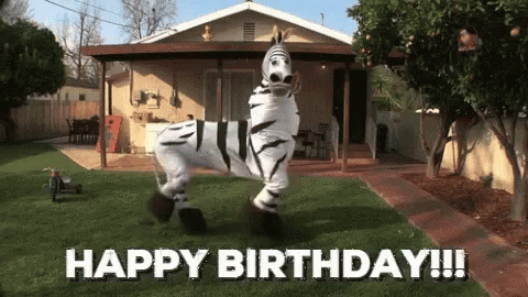 happy-birthday-zebra.gif