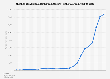 www.statista.com