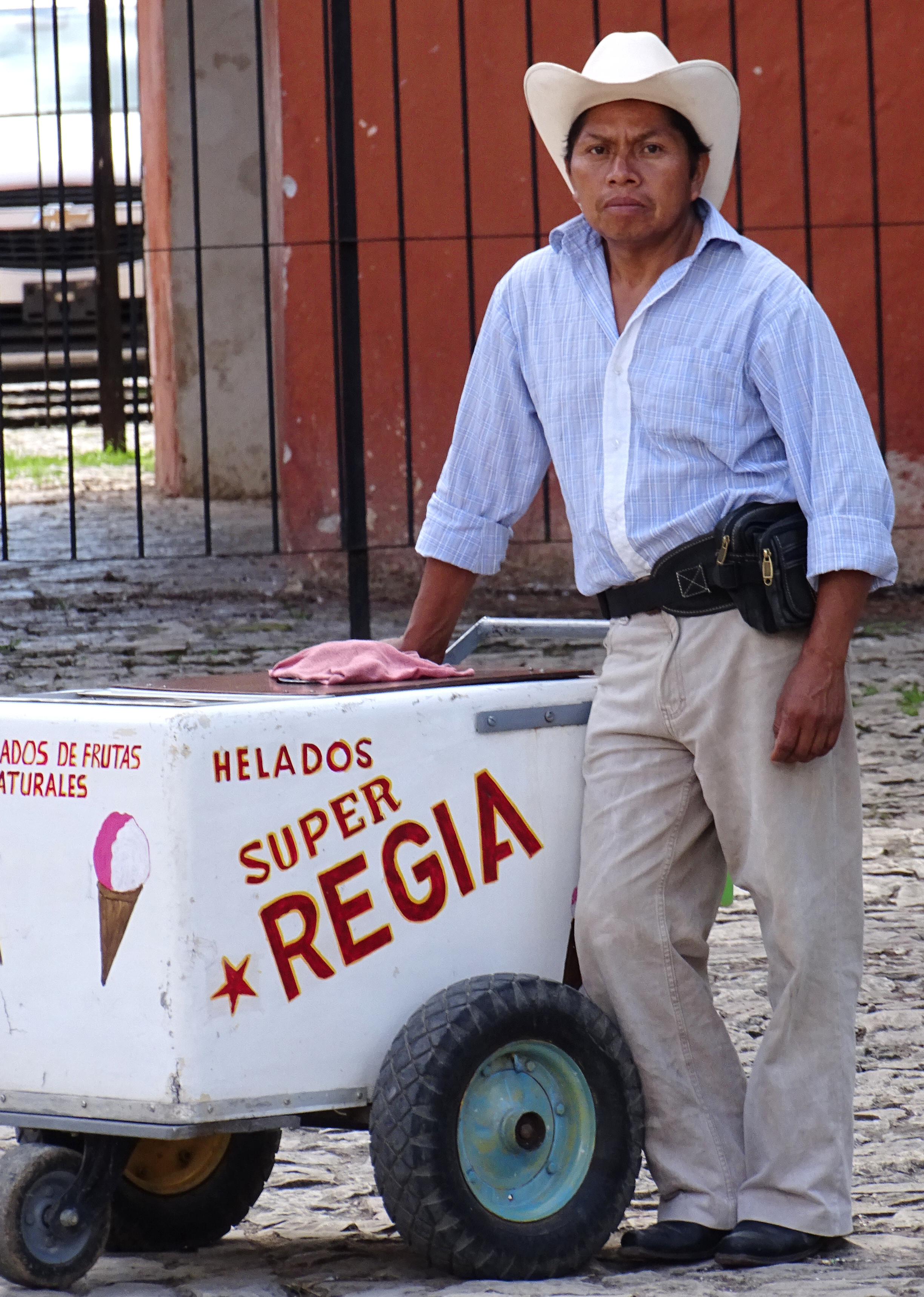 Ice_Cream_Vendor_in_Street_-_San_Cristobal_de_las_Casas_-_Chiapas_-_Mexico_%2815621639916%29.jpg