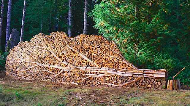 woodpile.jpg