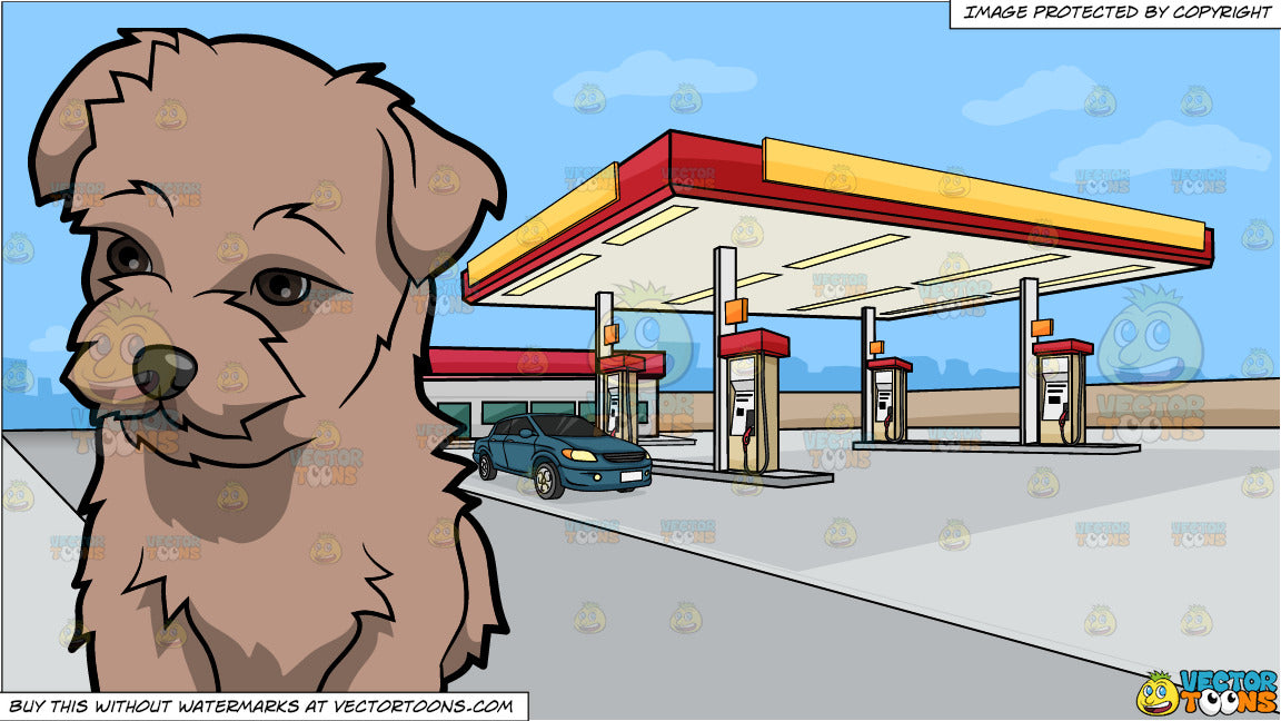 an-observant-morkie-dog-and-a-gas-station-on-the-outskirts-of-town-background_1200x1200.jpg