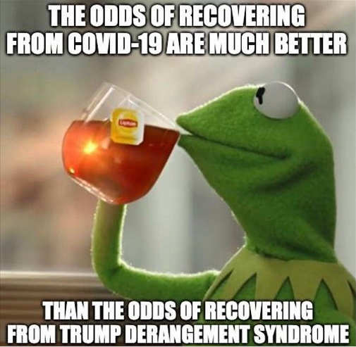 kermit-odds-recovering-from-covid-higher-trump-derangement-syndrome-tds.jpg