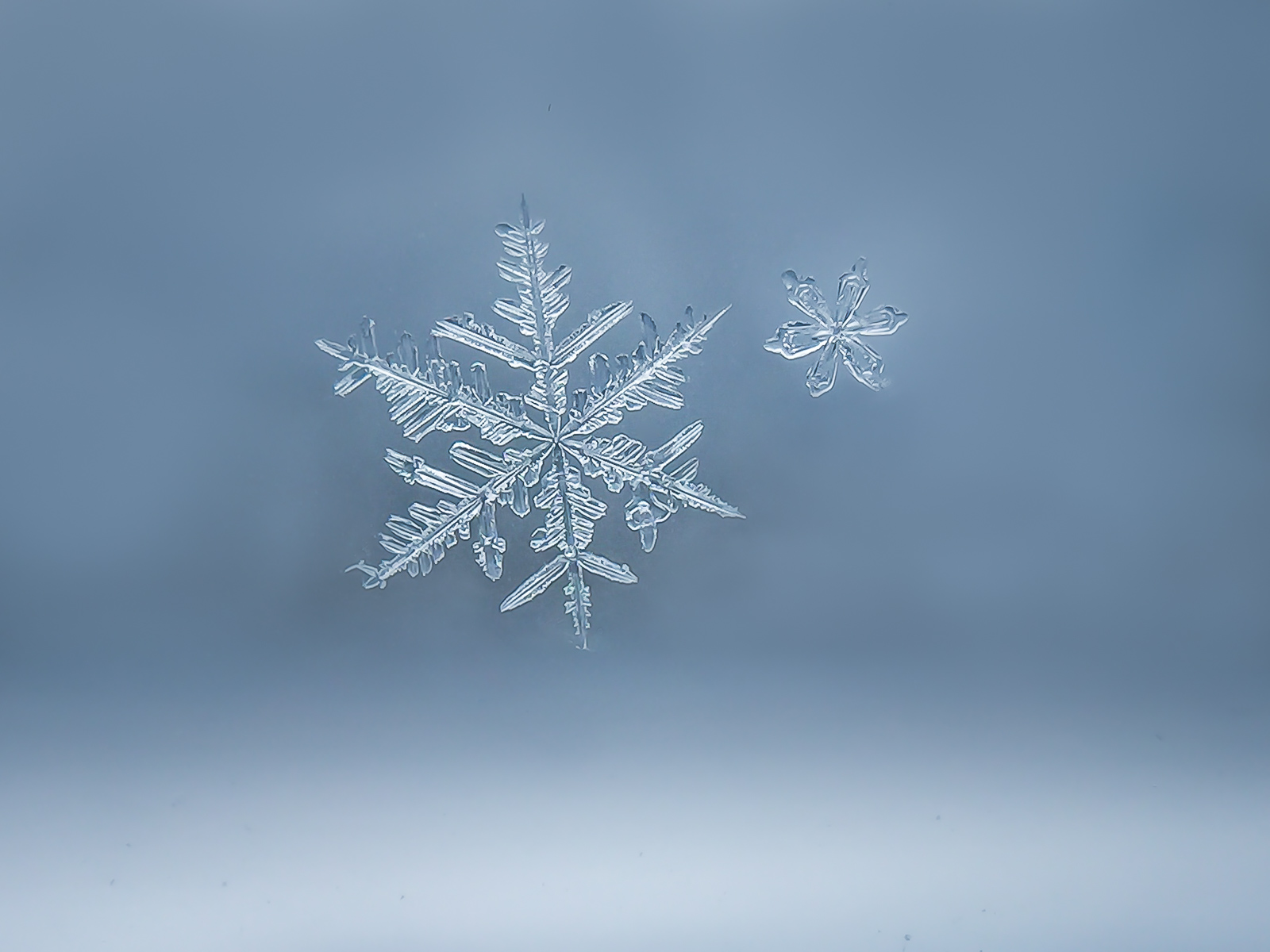 How-to-take-macro-photos-of-snowflakes-by-Karen-Schanely-6.jpg